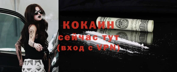шишки Баксан