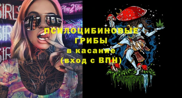 амф Арсеньев