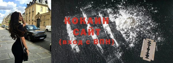 шишки Баксан
