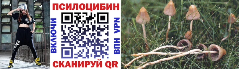 Псилоцибиновые грибы Psilocybine cubensis  сколько стоит  Мосальск 